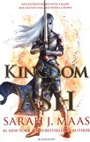 Obálka knihy Kingdom of Ash
