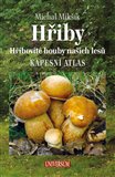 Obálka knihy Hřiby - Hřibovité houby našich lesů