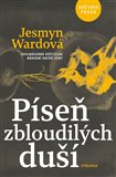 Obálka knihy Píseň zbloudilých duší