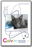 Obálka knihy Calvin´s Fun book - Zábavná kniha 1