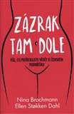 Obálka knihy Zázrak tam dole
